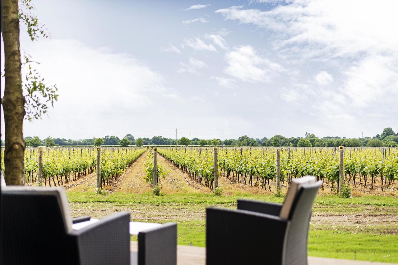 Tinwood Estate Vineyard Lodges ชิชิสเตอร์ ภายนอก รูปภาพ